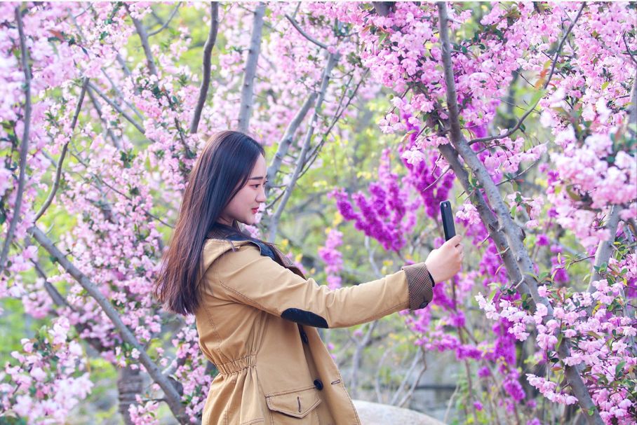 天蒙山踏青赏花,蒙山景区赏花