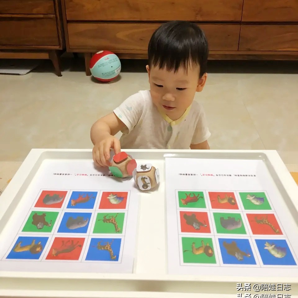 在家做早教材料清单,在家做早教选什么书