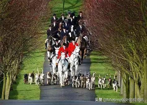 唐顿庄园这部剧怎样,唐顿庄园电影有几部