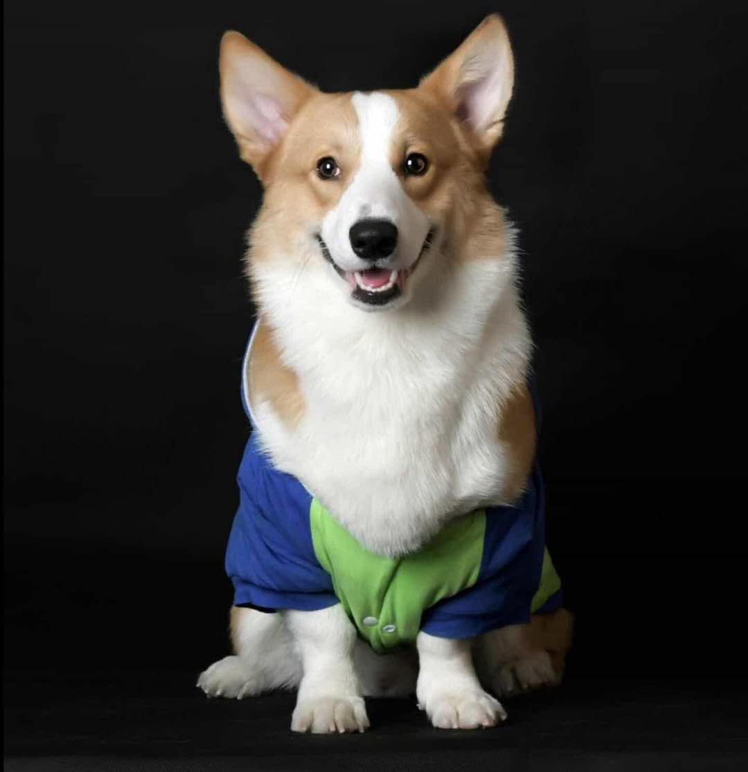 优衣库开创轻羽绒潮流,优衣库创新方法