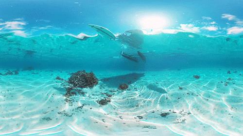 春节去哪里旅游最好十大景点,春节热门小众旅游目的地排行