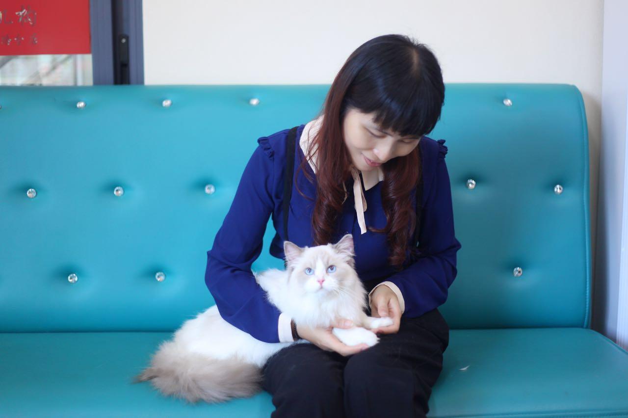 养了布偶猫后悔了,养布偶猫的坑