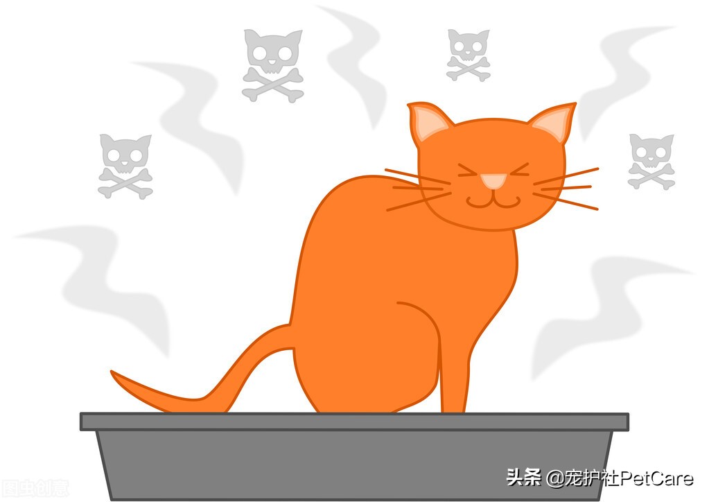 宠物医生教去除宠物尿味,宠物医生教你除狗狗口臭