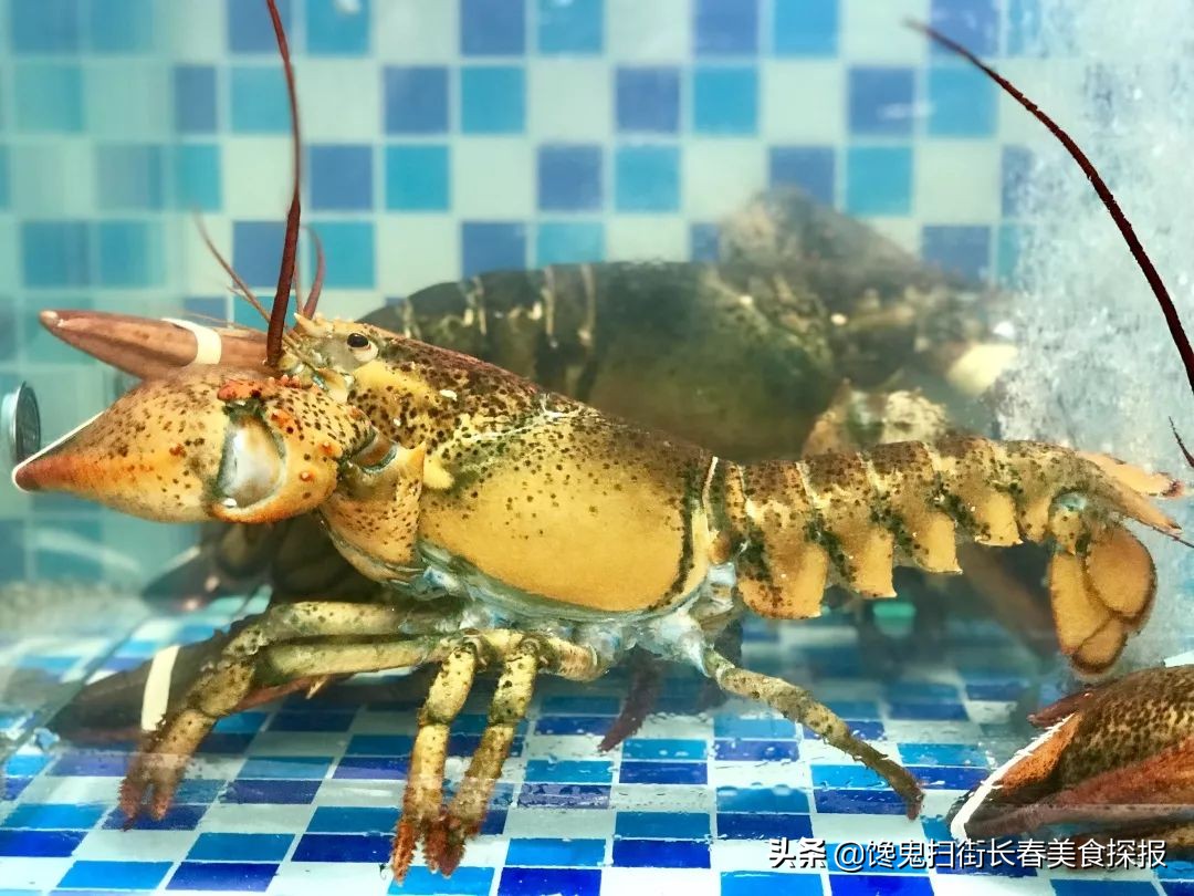 长春居然之家火锅,长春有个火锅很出名叫什么