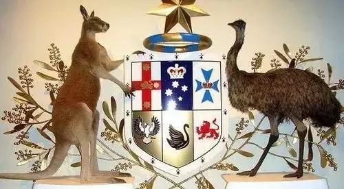 来澳洲才知道的事,来悉尼才知道的事