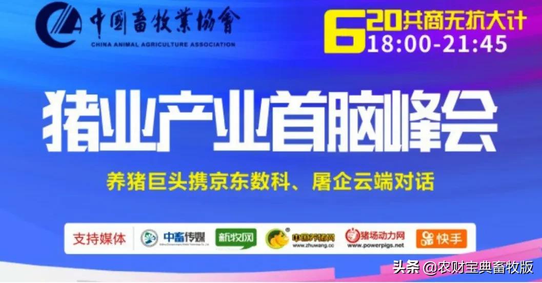 禁抗+新冠+非瘟多重考验,唐人神、天邦、安佑、天兆、天康等巨头是这么干的…