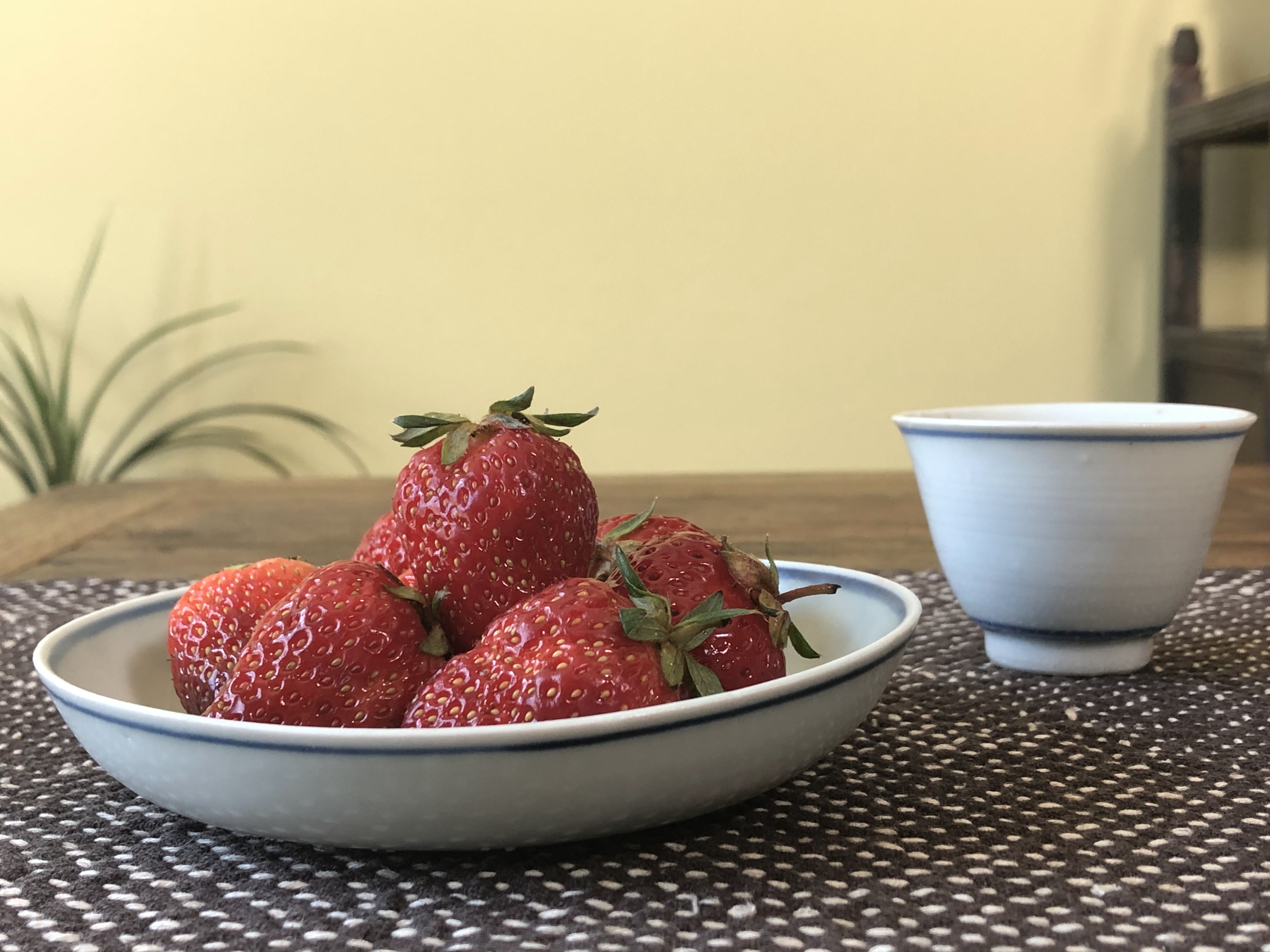 价值30、300、3000元古董主人杯,性价比因人而异,你选哪个?