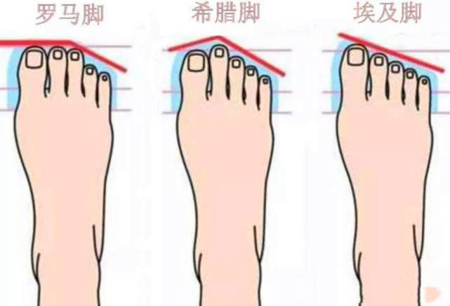 大拇脚趾长俗语怎么说,二脚趾比大脚趾长代表不孝顺吗