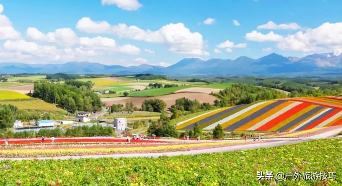 日本北海道富良野骑行攻略，试过在花田、花海中骑行吗？