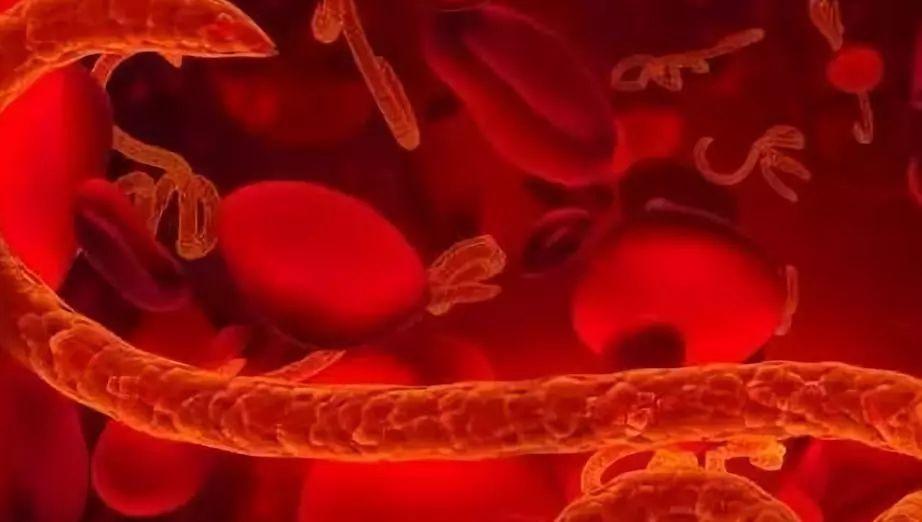 吃辣条引起的过敏性紫癜能恢复吗,吃辣得过敏性紫癜能自愈吗