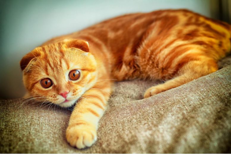 炒股10多年来我的感悟,炒股10年15条投资感悟