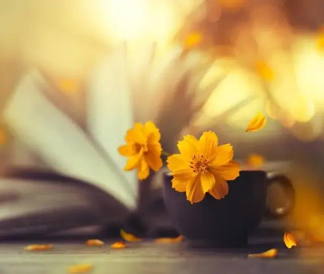 对联应掌握的90个知识点,对联知识点整理