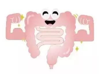 适合长期吃的益生菌有哪些,健康微生态益生菌有哪些