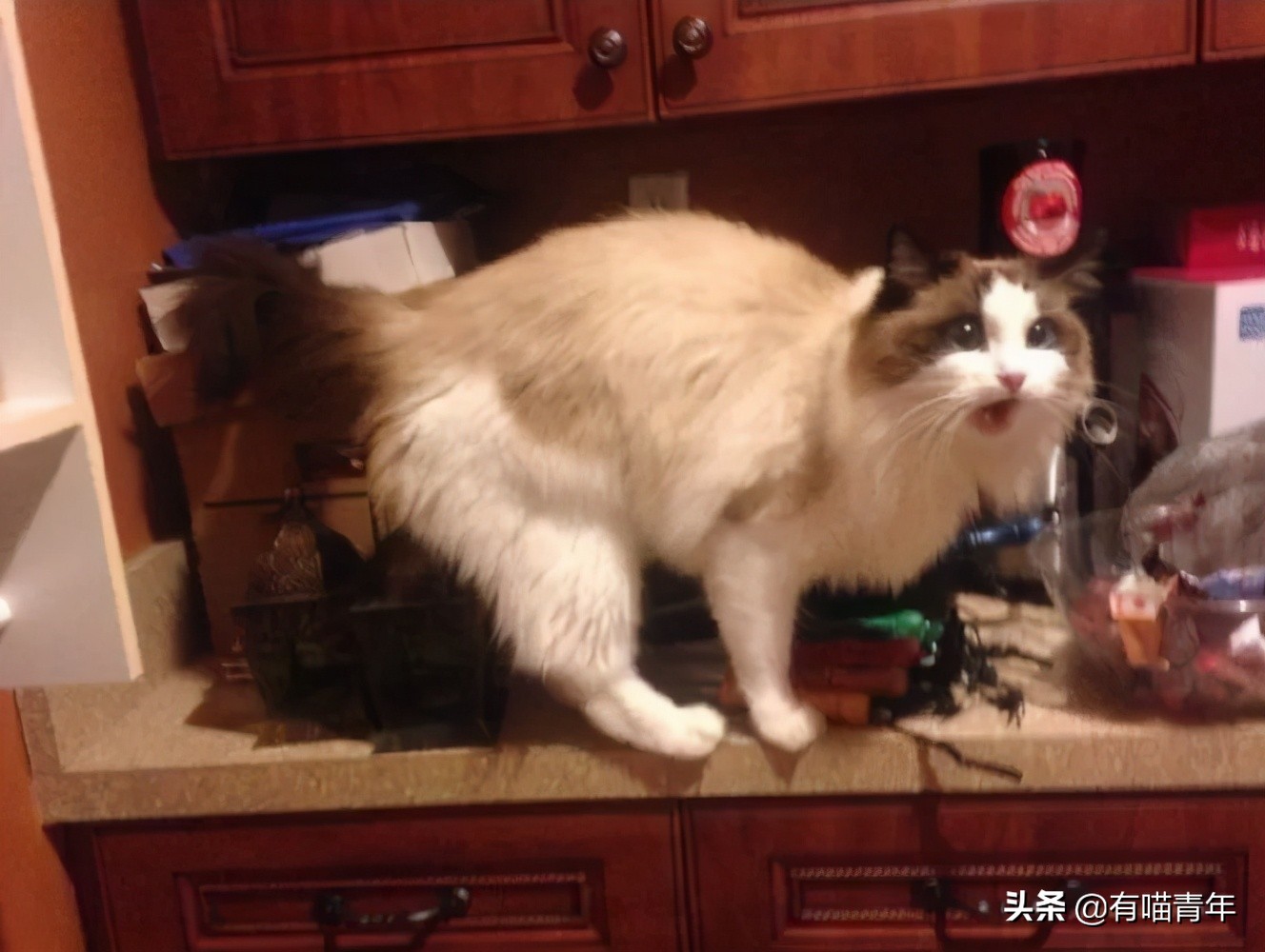 男子报警21岁喜当爹,男子喜当爹做了一件荒唐事