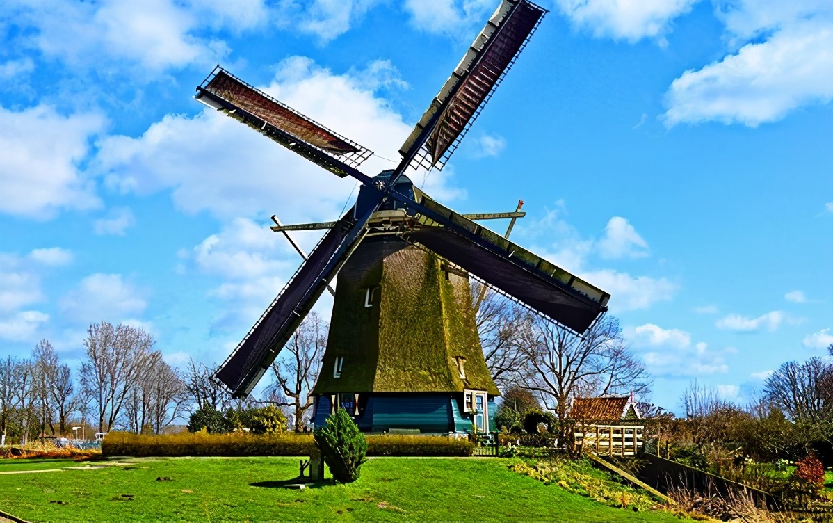 为什么中国叫“荷兰豆”，荷兰却叫“中国豆”，到底是谁叫错了