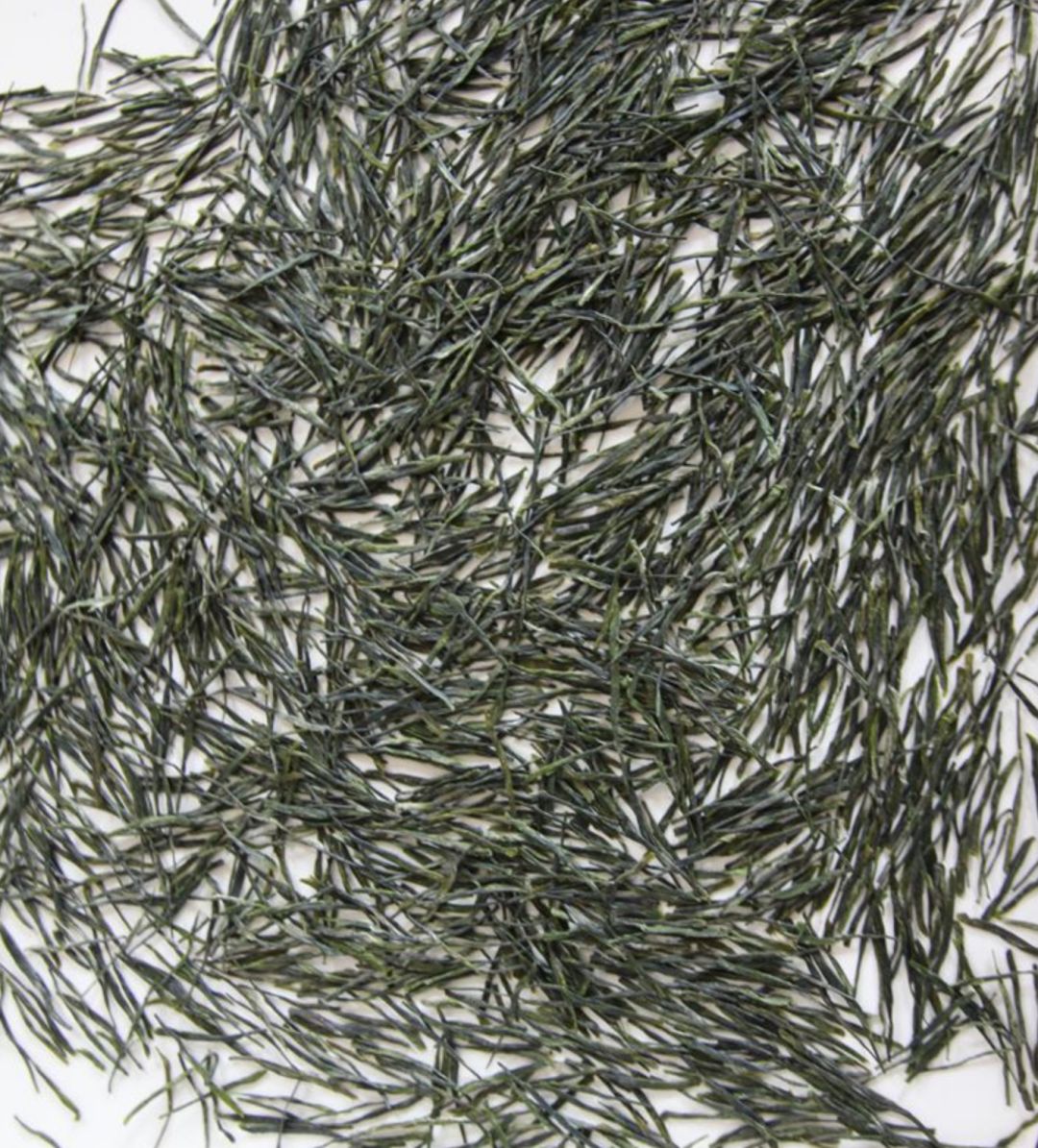 湖北名茶品种,待疫情结束我们去看春暖花开