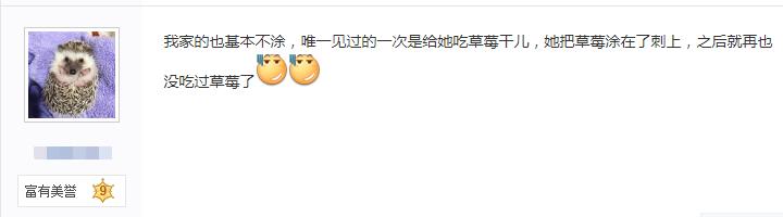 快给非洲迷你刺猬咬吧！咬了涂刺就算征服它了？小心被白咬了