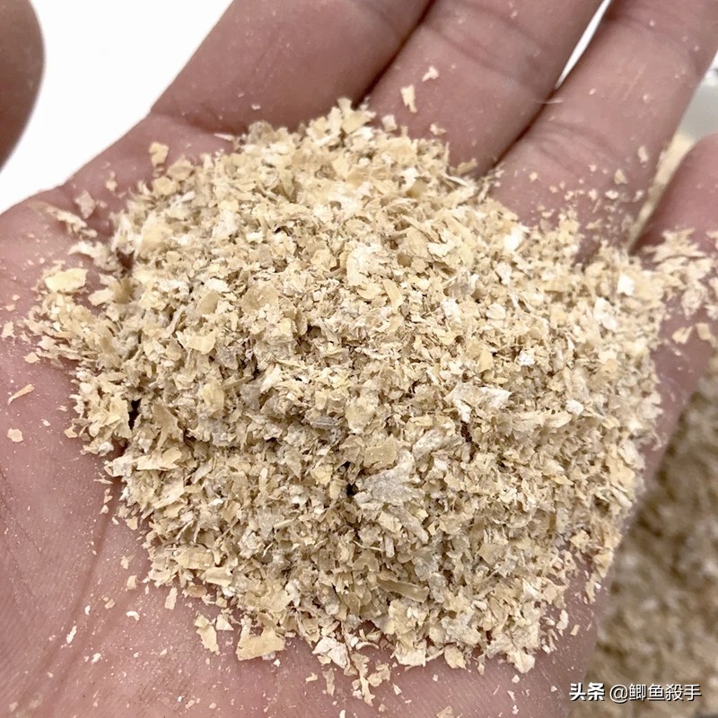 矶钓滑漂10大忠告,矶钓滑漂怎么保证上鱼好