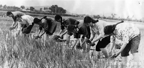 閬ヨ繙鐨勪埂鎰佸畬鏁寸増,琚北閲岀殑铓傝煡鍙簡