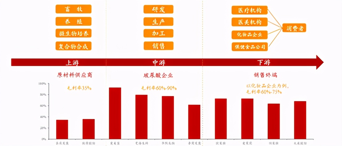 玻尿酸三巨头是哪个 (国内十大品牌小分子玻尿酸)