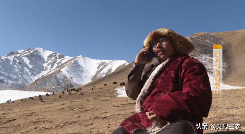 贫困户无息贷款三年还不上怎么办,贫困户能贷几次款