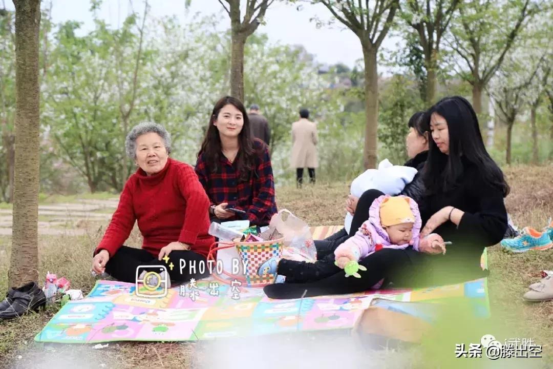 带你来樱花园看浪漫樱花,最美校园春天必打卡的樱花胜地