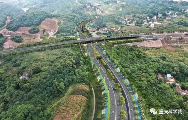 西永道路规划图,西永路网规划