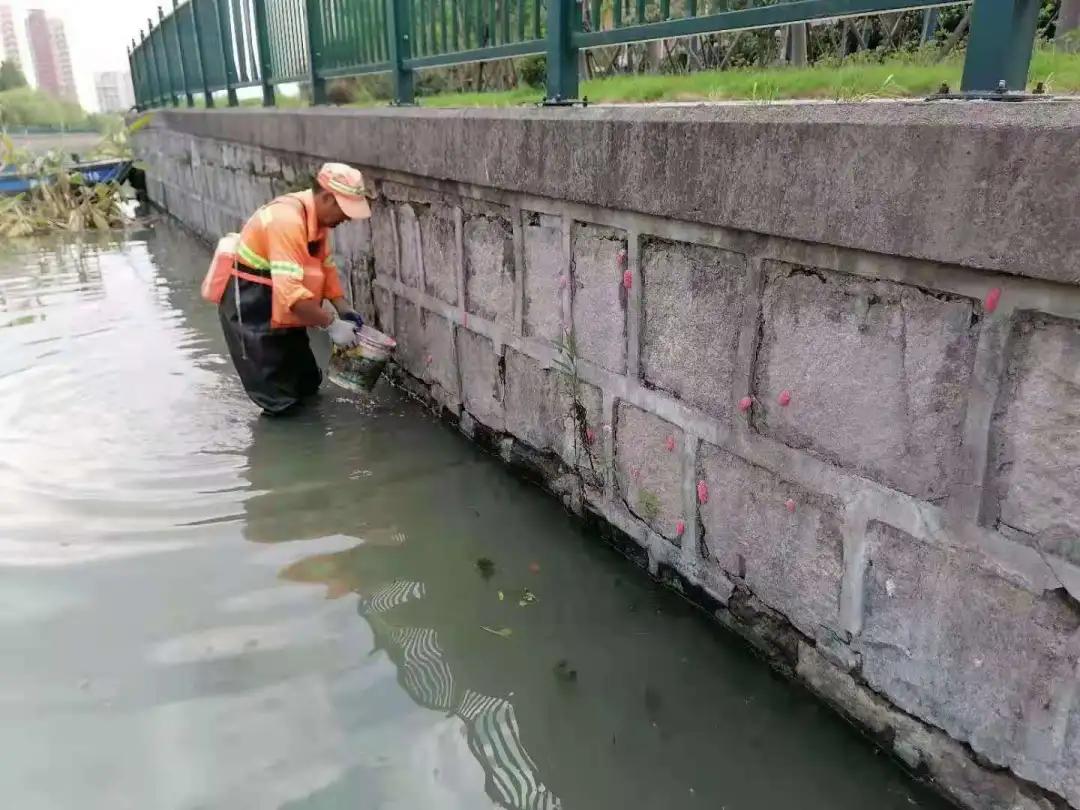 刚抓回来的螺真的不能马上吃,这些螺千万别吃了