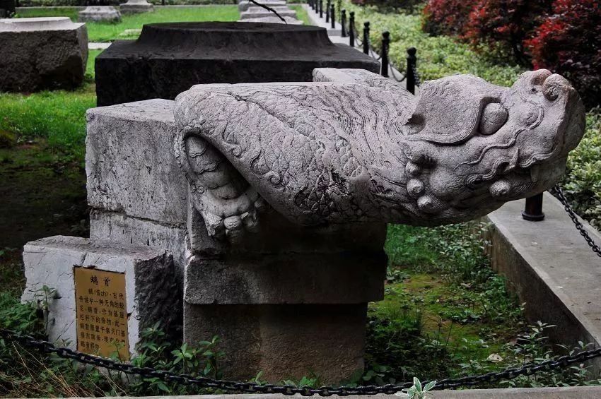 南京免费的公园,太全了