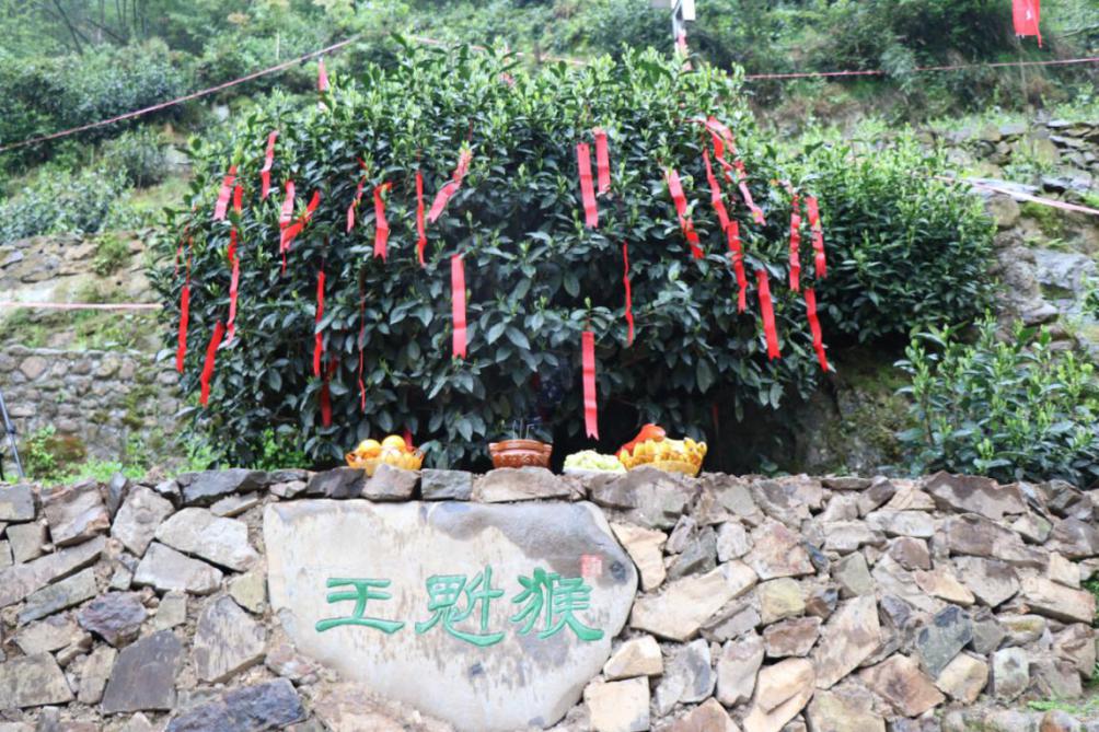 人间有味是清欢旅游,人间有味是清欢赏桂记