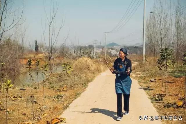 怎么打造低成本花园,怎么用几十元造花园