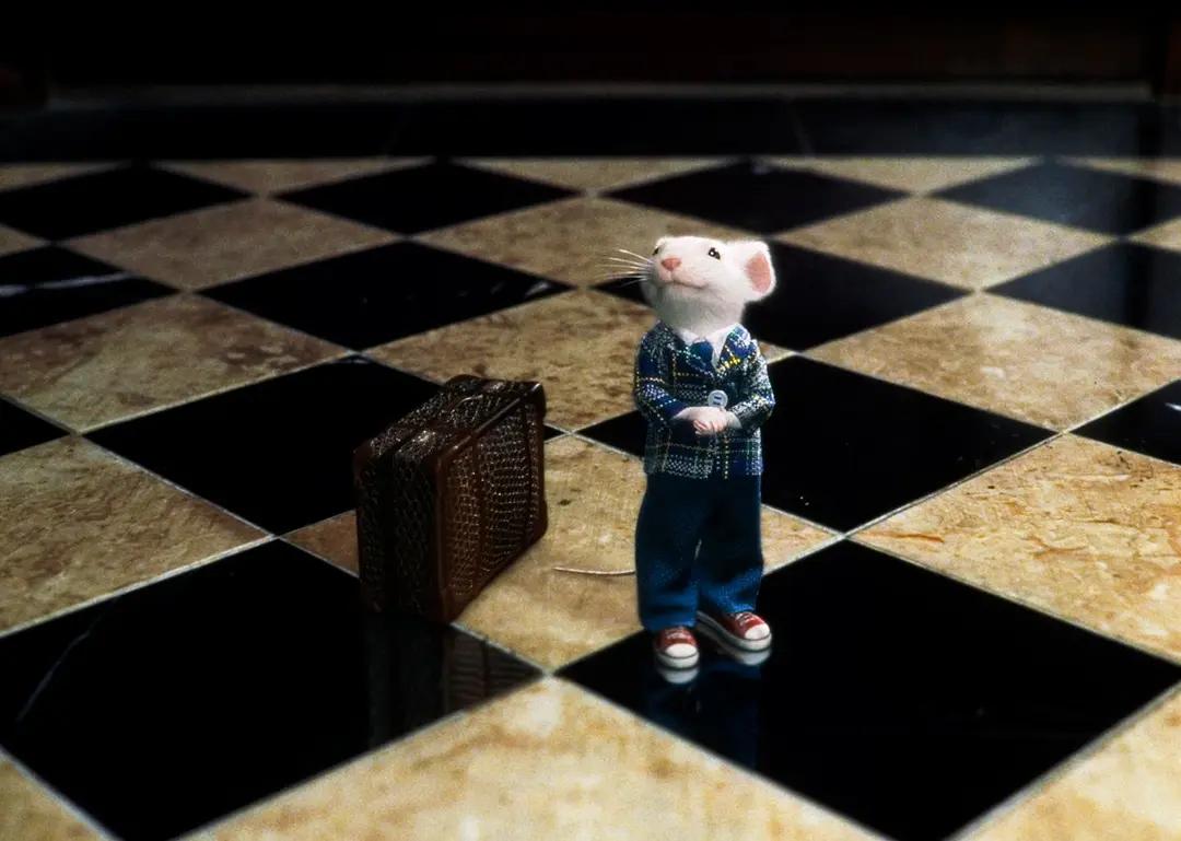 精灵鼠小弟小老鼠叫什么,精灵鼠小弟长大的样子