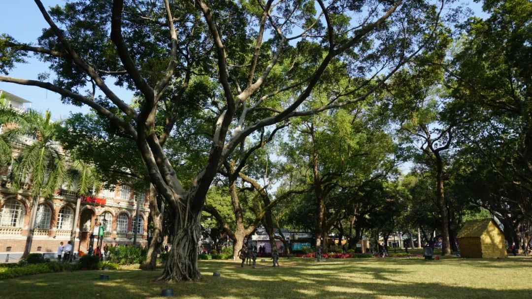 广州最北的地方,广州景区沙面岛