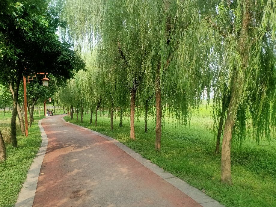 实体经济难做的情况下如何破局,实体经济低迷做什么生意