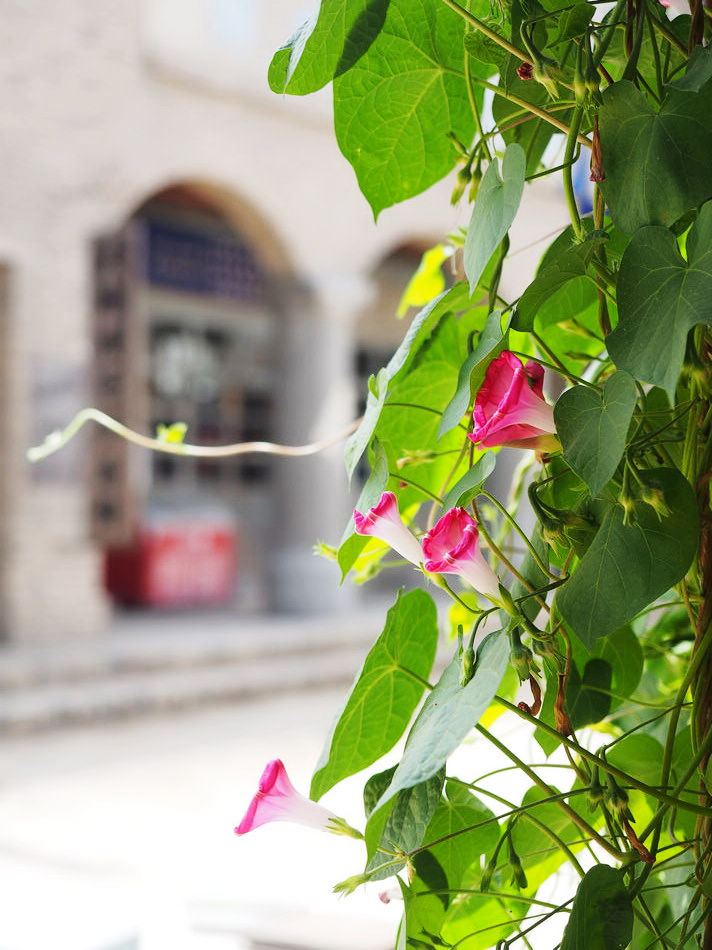 跟着星爷和老谋子的电影,去逛这座大名鼎鼎的西北影视城堡