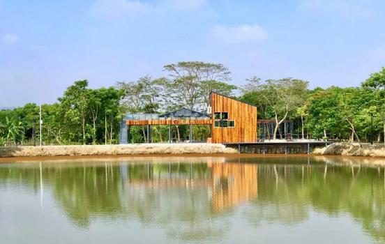 乡村振兴让农民在家门口赚到钱,碧桂园乡村振兴