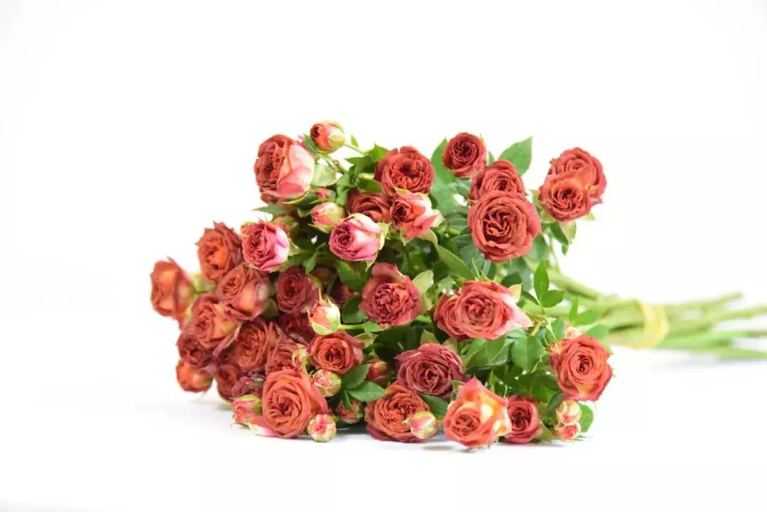 那些年你爱过的小说女配,那些年你爱过的老歌