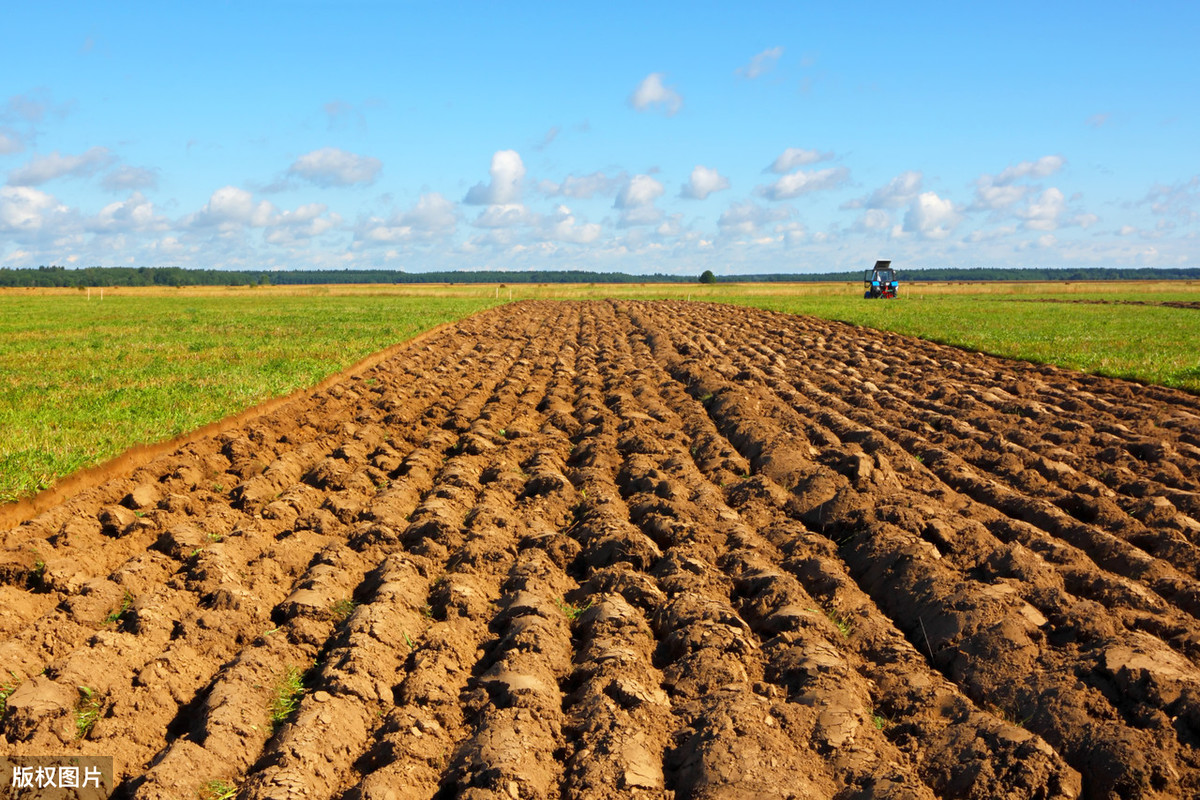 承包土地种地赚钱吗,在农村承包土地种地赚钱吗