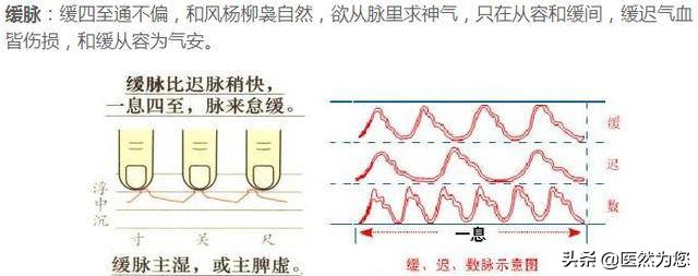 迟脉的脉象和主病大全,缓脉和涩脉有什么症状