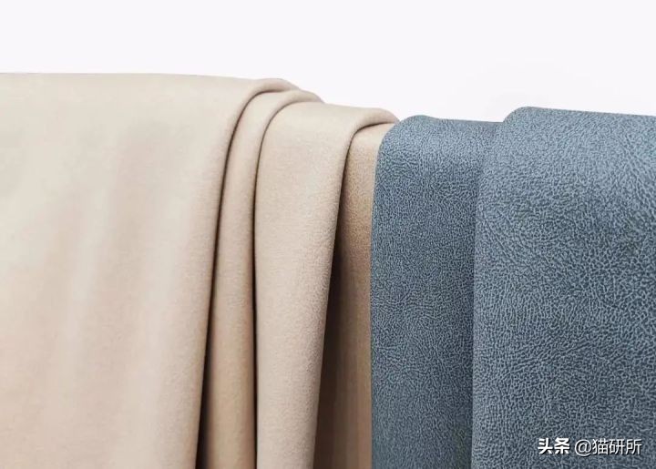 怎么惩罚猫咪挠沙发,猫咪不会挠坏的沙发