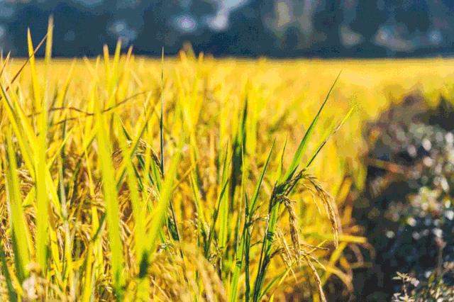 国庆小长假第二天,国庆小长假一日游