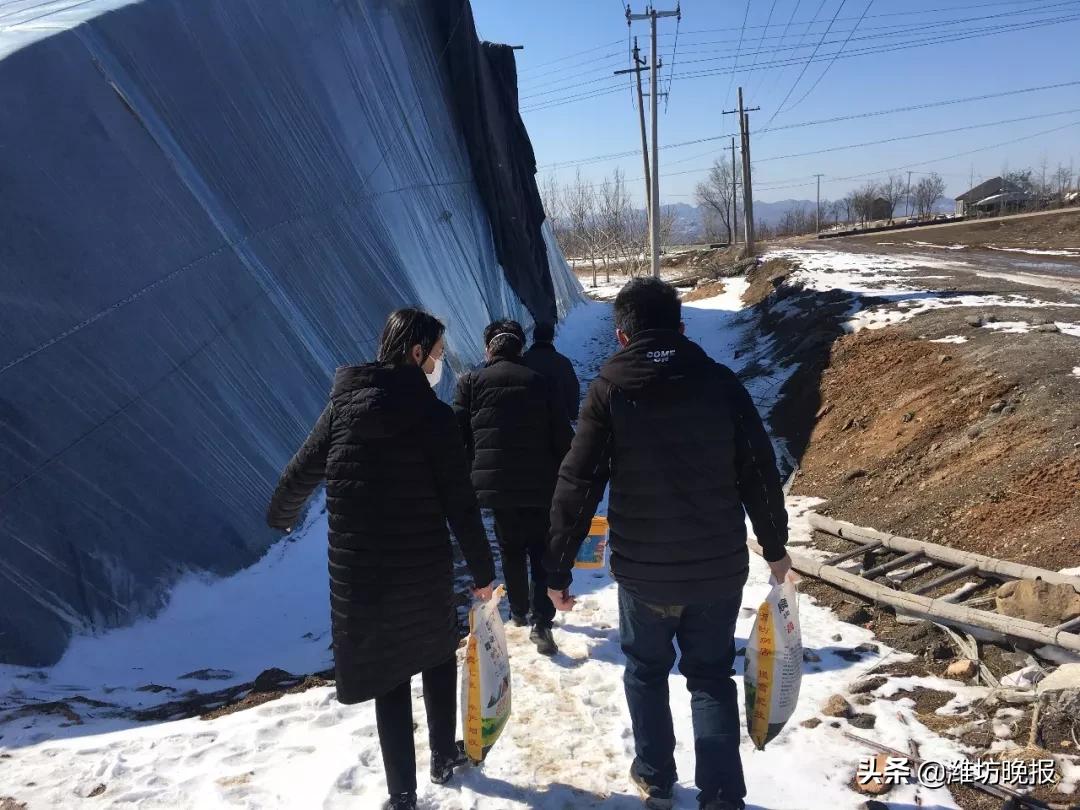 潍坊临朐:服务到地头农户恣心头
