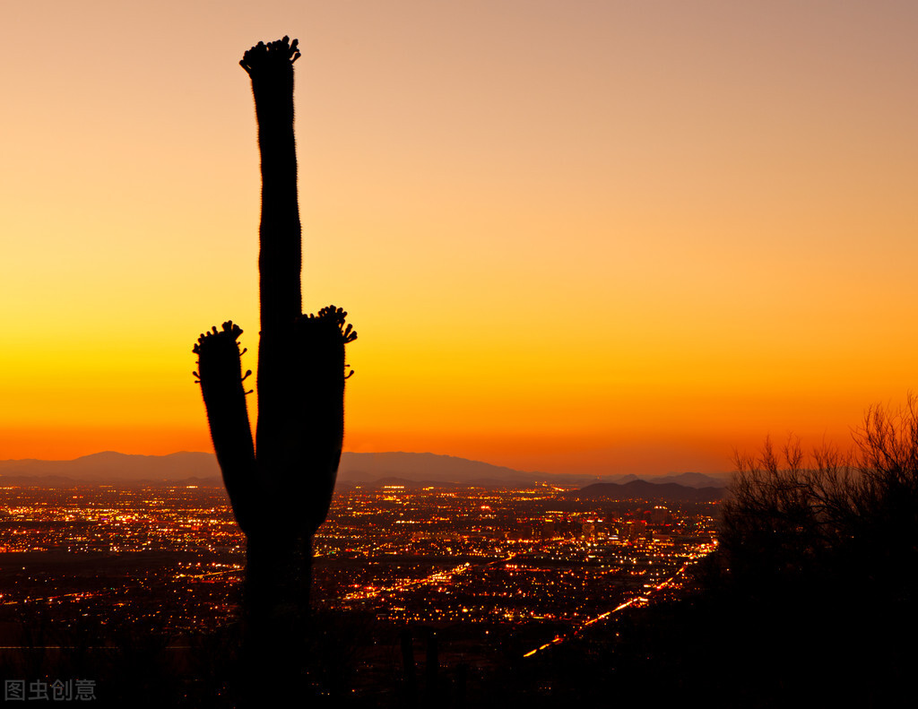 刘若英凤凰男电视剧,刘若英演的凤凰男