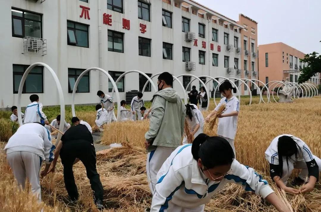 不查考勤的学校,不检查作业秘诀