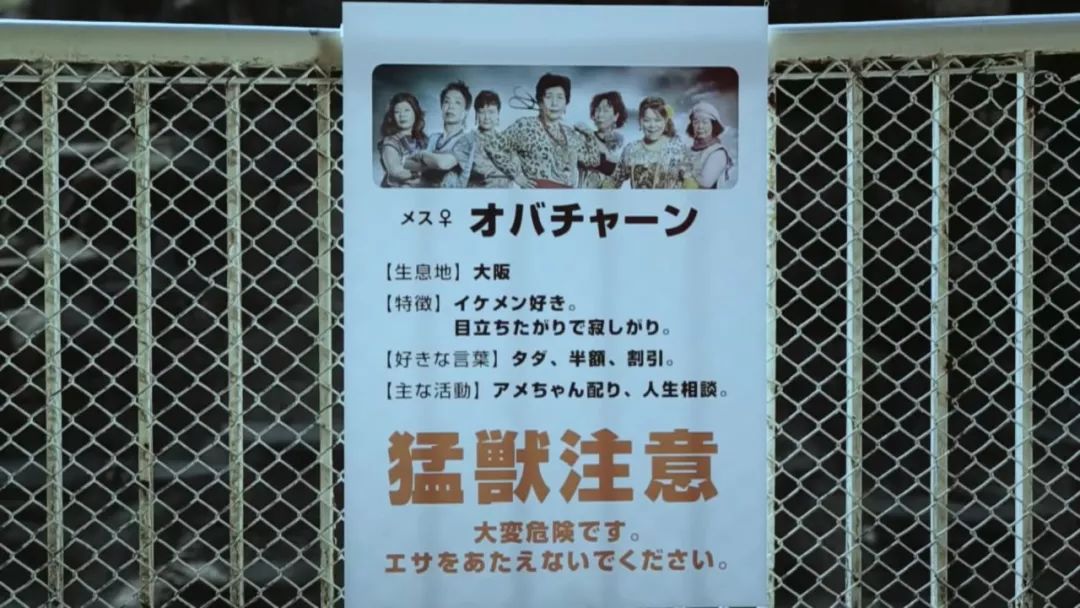 年均66岁的豹纹大妈团火了！唱rap，跳电音，连总理都点赞