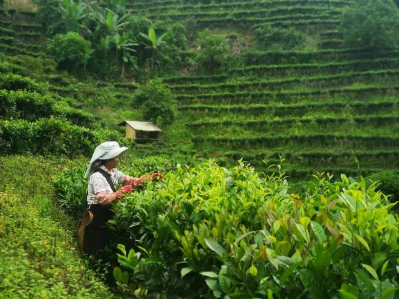 自驾玩转云南旅游攻略路线推荐,云南旅游全攻略5天自驾路线