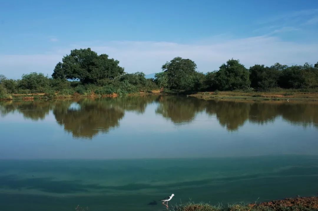 这个曾数次登上LP榜单的微笑国度，还有众多小众酒店值得睡