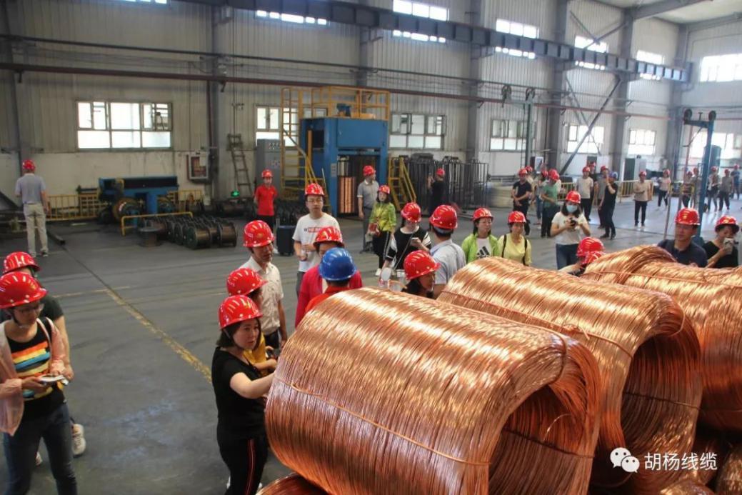 欢迎*疆新**自治区市场监督管理局领导莅临胡杨线缆公司交流学习