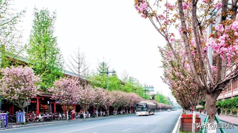 侃名联、问诸葛，海外媒体眼中的武侯祠是怎样的？