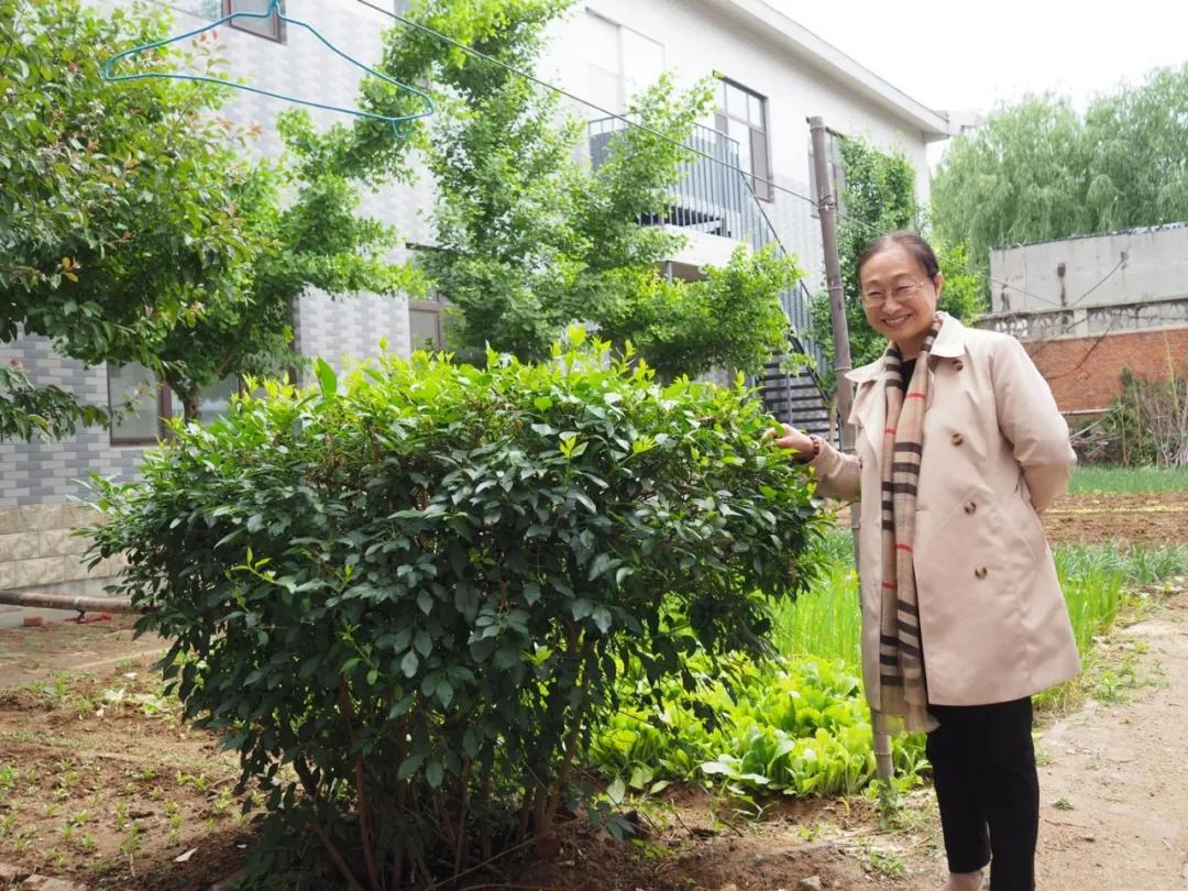 我是一颗小小草，春天何时到